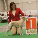  Vot-Tak Tsar' Gvidon