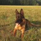 YASMIN Asarko Lordana