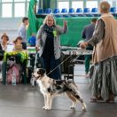 Red Rock ROLLING IN THE DEEP