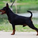 ASTALANTE WIND OF CHANGE