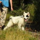 ATMA MANASLU Jack Runner