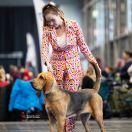 Kmetty-Házi Quicksilver 