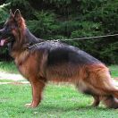 FARIDA von Gran Peregrino