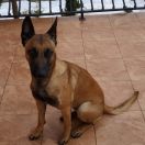 Dżaga Argilla Rossa