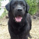 She is Like The Wind DESIRE MOON