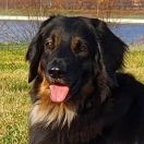  Zobels Hof Gabriella 