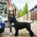 CAPRI Dolina Brodaczy FCI 