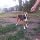 UNCJA Huculska Dolina