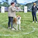 Hiro go takane no hana