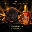 TRD IMPERIA DIMPLE