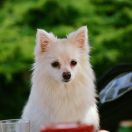 Merry Christmas Krisanda