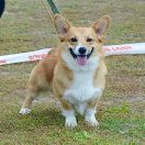 Inver Gordon vom Haus Schiran