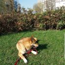 EJNA z Sosnowej Zagrody