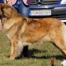 BARONESSA FREJA FROM DURAKIEWICZ