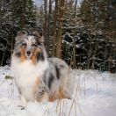  BEING INTERSTELLAR Blue Universe 