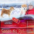BENJAMIN SENZO NO REI