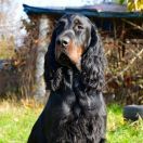 BEST COFFEE FROM Setamber 