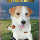 Ch.PL Best Jack ILLUSIA