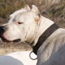 TANQUECITO DEL Ojo en la Mano 