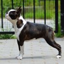 BLANKA M Beacon Hill Kolobrzeg