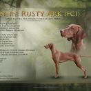 BONNIE Rusty Ark FCI