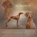 BONNIE Rusty Ark FCI