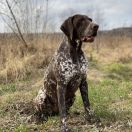 Fendi z Czarnego Dworu