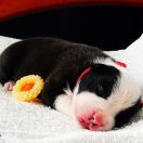 I LOVE YOU Child of Love