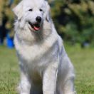 E`Vesna S Gory Mezmay