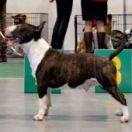 MOOLTI TIME TO GO FOR VICTORY