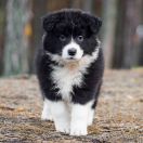 ABRAKADABRA Natalaland