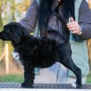 Unicorn Sparkle Tempus Ad Miraculum 