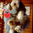 ROYAL QUEEN ELIZABETH Victory of Love