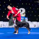 Bally-Balboa Vom Gross Grunberg