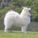 ILVERAN THE FUTURE IS OUR Princes of the Universe