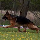 PIORUN z Więcborskiej Doliny 