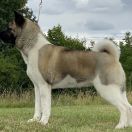 Alisa Hill of Hope FCI