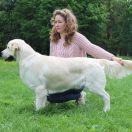 Ox-driver Alan wild west gang