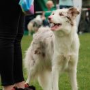 Let me Belive from Kelemenki (w domu Karma)