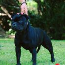 MISS BITIS du Domaine de Poudlard