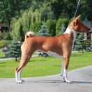 Bahaticca`s EVER FELICITY