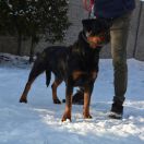 AQURA Babimojskie Gniazdo 