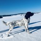 Chris z Budišovské doliny