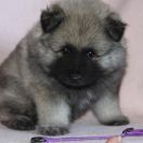 CANDY Gorczańska Opowieść