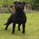 EVERYTHING I NEED Bitis