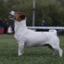 GRAFSTVO KO*LAR Vlastelin 