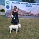 Bona doskonałość z Grodu Kraka FCI