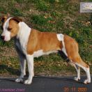 HEKATE Pokerowy Żywot