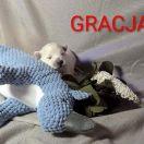 Gracja Shaggy Fluff FCI