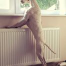 You Are My Biggest Dream